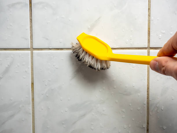 Best Commercial Mold Removal  in Day Heights, OH