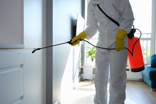 Best Professional Mold Removal  in Day Heights, OH